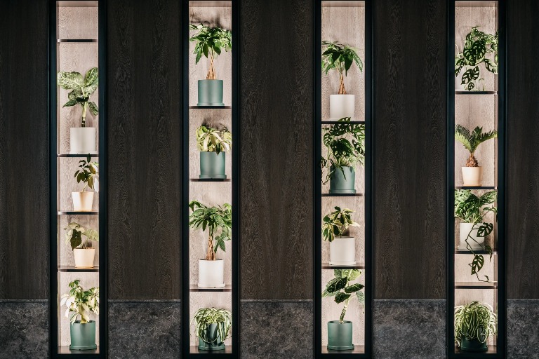 Dao by Dorsett AMTD Singapore Plant Library.