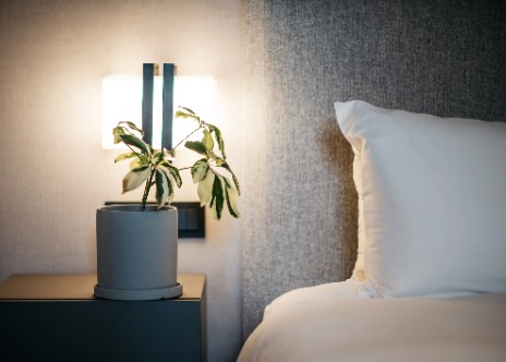 Plant by a bed, in a Dai by Dorsett Bedroom
