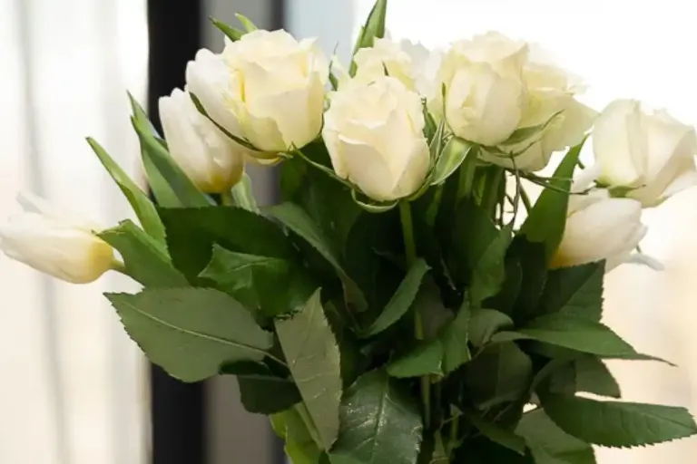 Valentine’s Package