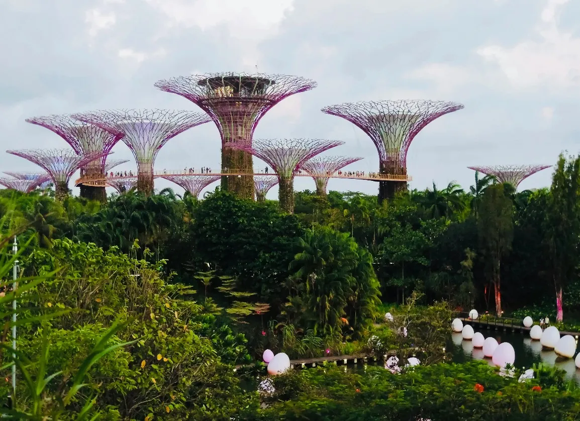 Gardens by the bay Singapore.