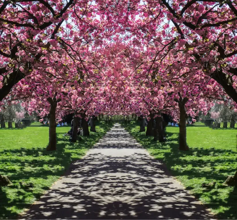 Spring into Savings