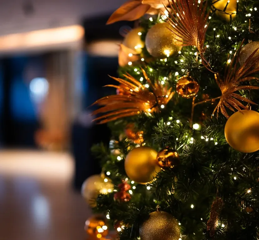 Festive Holiday Package