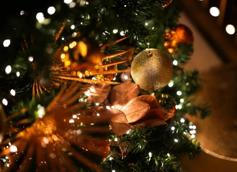 Festive Holiday Package