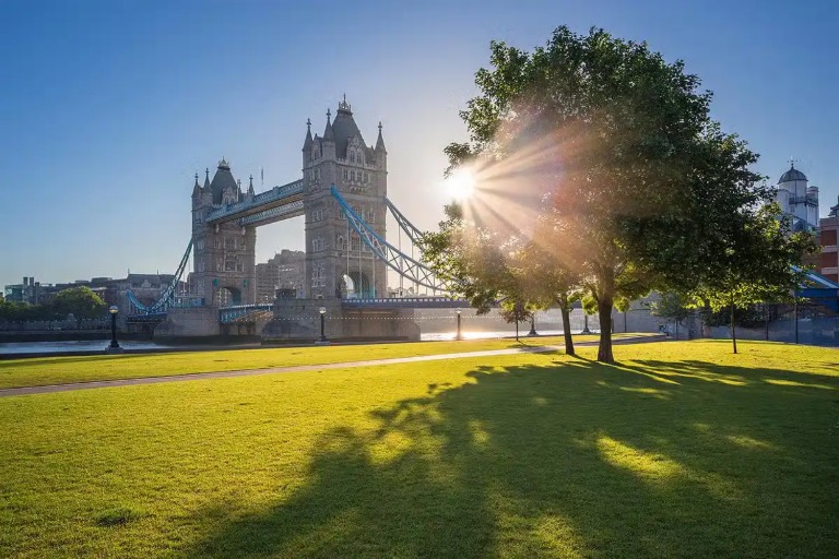 Summer In The City