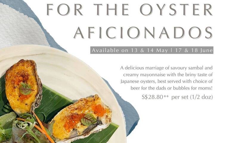 For The Oyster Aficionados